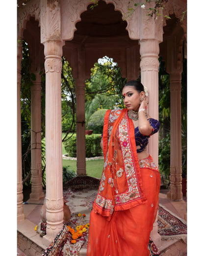 Orange Organza Saree