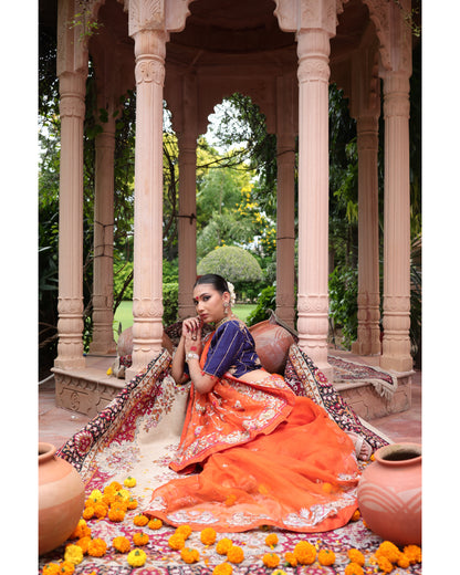 Orange Organza Saree
