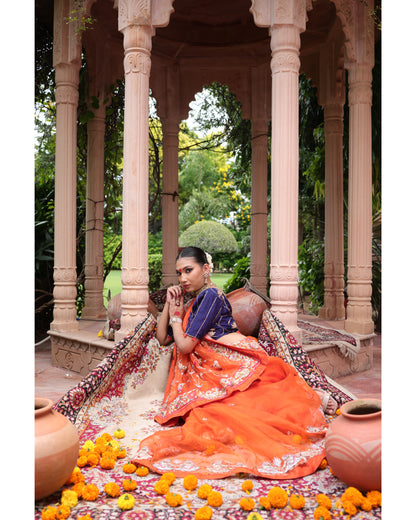 Orange Organza Saree