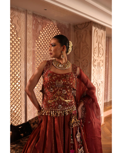 Rust Tissue Chanderi Lehenga