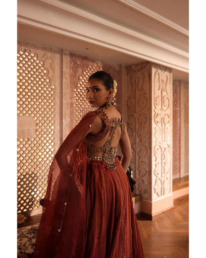 Rust Tissue Chanderi Lehenga