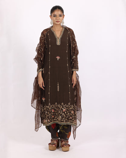 Brown Chanderi Suit