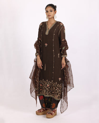 Brown Chanderi Suit