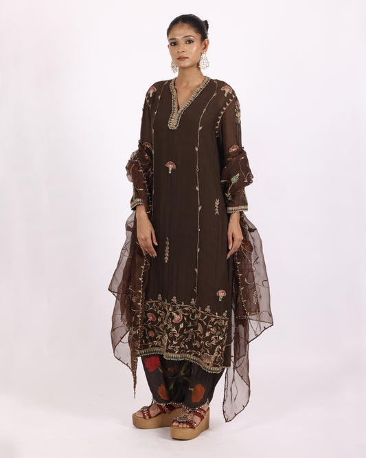 Brown Chanderi Suit