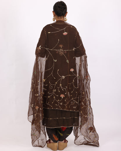 Brown Chanderi Suit